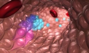 transition of hemogenic endothelial cells to blood progenitor cells during normal embryonic blood development.