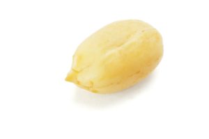 peanut