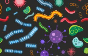 microbiome concept