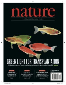 Nature paper on zebrafish studies on bone marrow engraftment