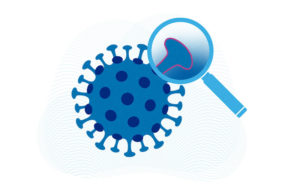 SARS-CoV-2 spike protein under the microscope