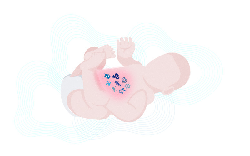 illustration of infant with microorganism in the gut area