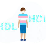illustration of person wearing trans shirt with HDL above and below