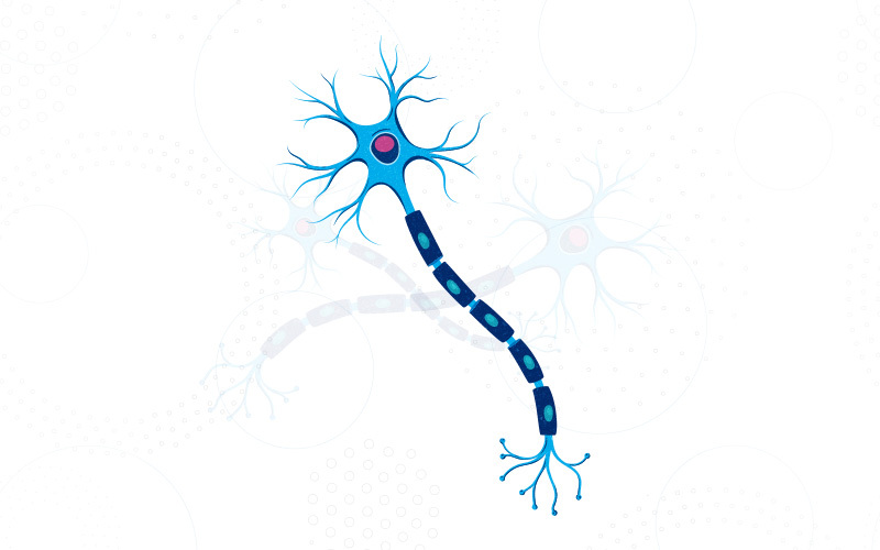 illustration of a neuron