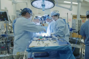 surgeons working in the OR