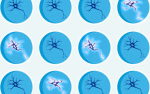 ALS drugs hyperexcitability screen