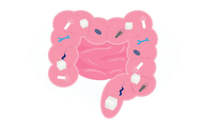 A cartoon of the intestine with microbes and sugar cubes, to illustrate the microbiome and the role of sugars..