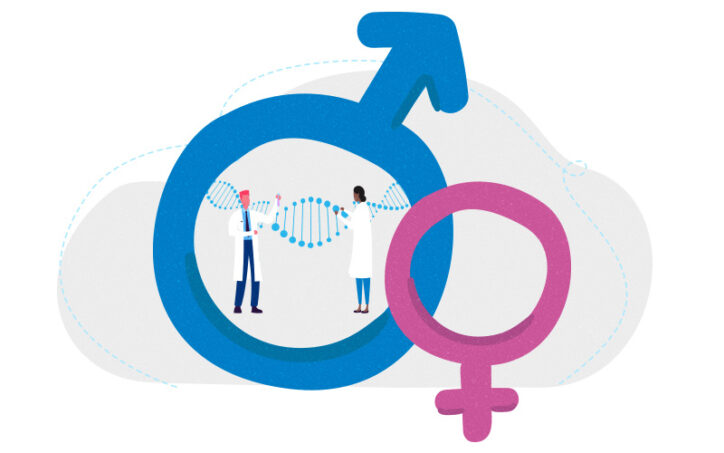 An illustration shows two scientists working inside the circle of the male symbol, which is connected to the female symbol.