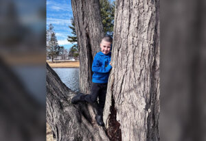 A young boy standing in the base of three trees
