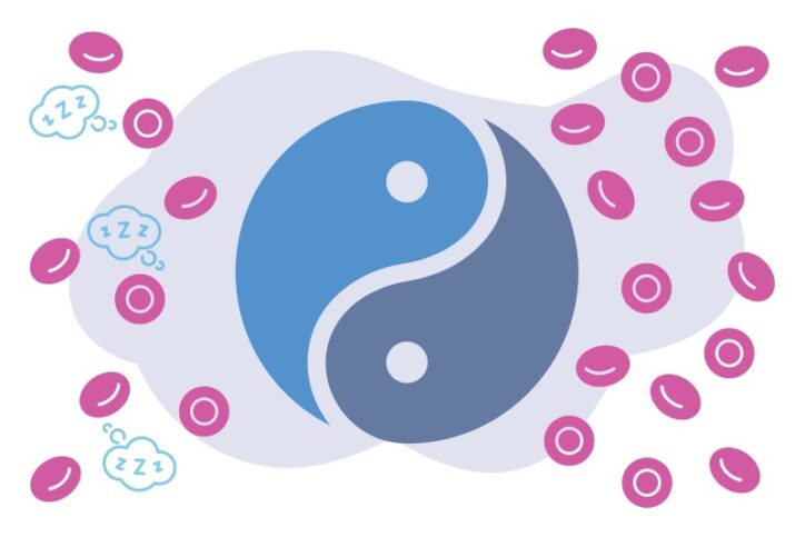 Conceptual illustration showing a yin-yang symbol and two groups of stem cells, with one group appearing to be snoozing, to illustrate the biology of MLL B-ALL..