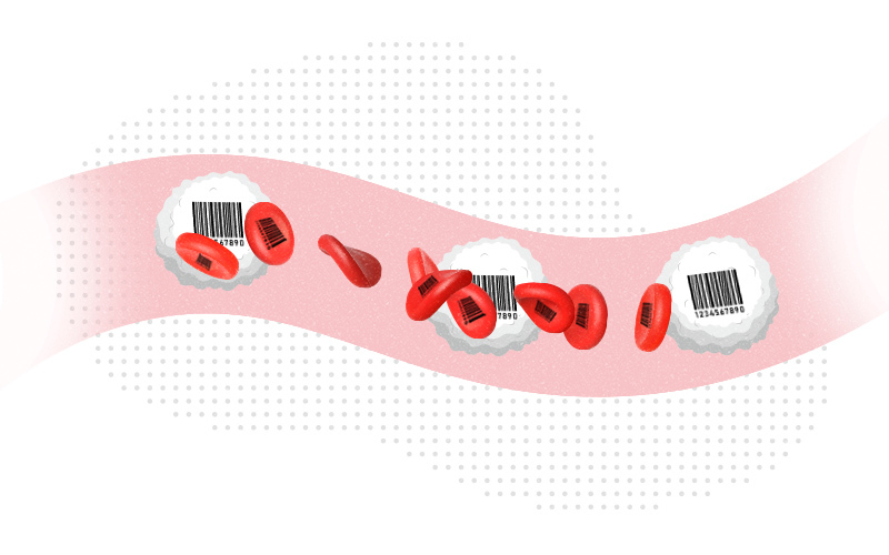 Illustration of a blood vessel with red and white blood cells bearing barcodes.
