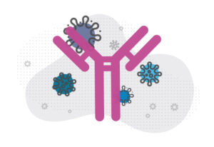 A large, powerful-looking antibody surrounded by various SARS-CoV2-coronaviruses - illustrating the concept of COVID-19 neutralizing antibodies