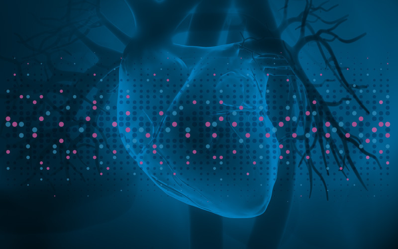 Alt text: A radiographic image of the heart with dots to represent mutations.