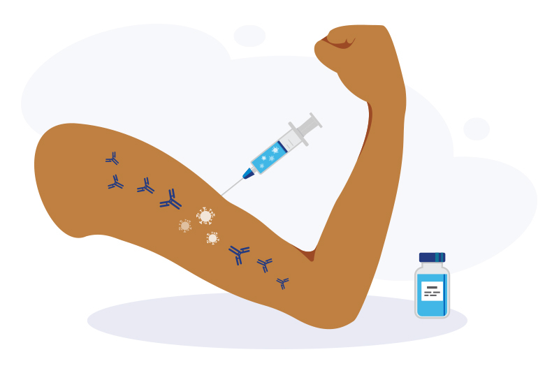 How vaccines work boston children s answers