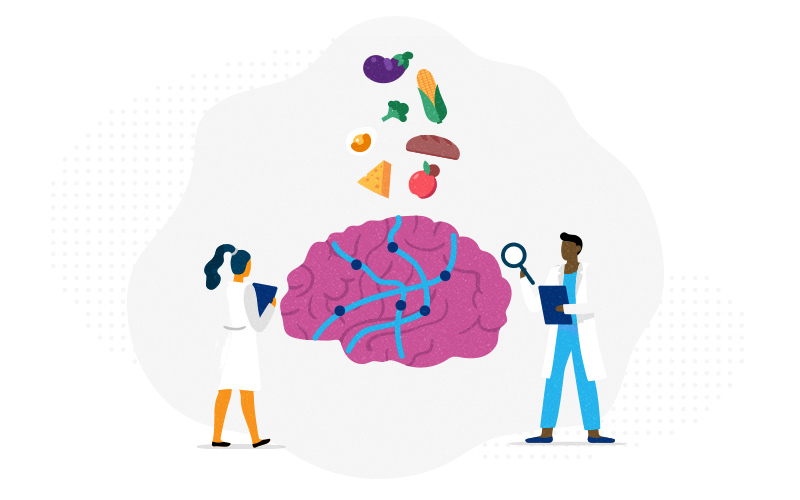 Whimsical depiction of a brain with different pathways through it and an assortment of foods