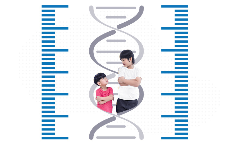 A double helix with two children of different heights.