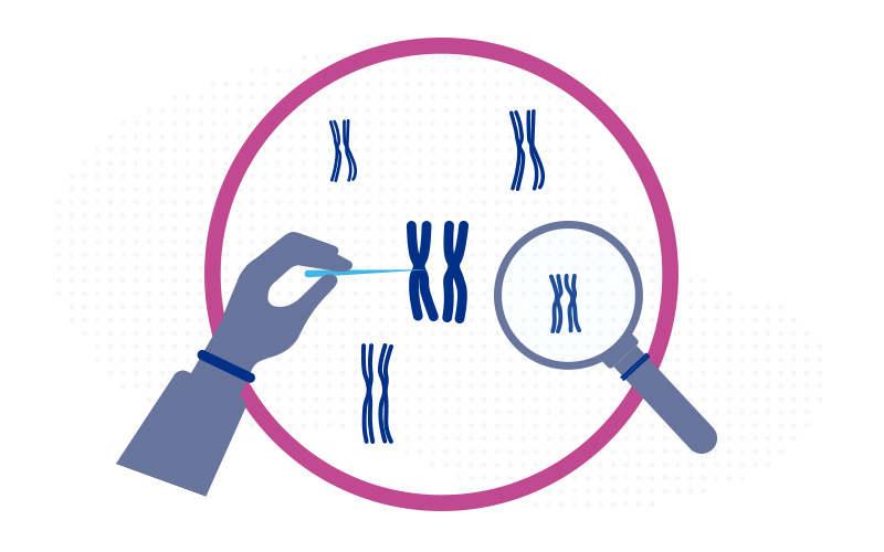 Chromosomes being prodded and examined under a magnifying glass.