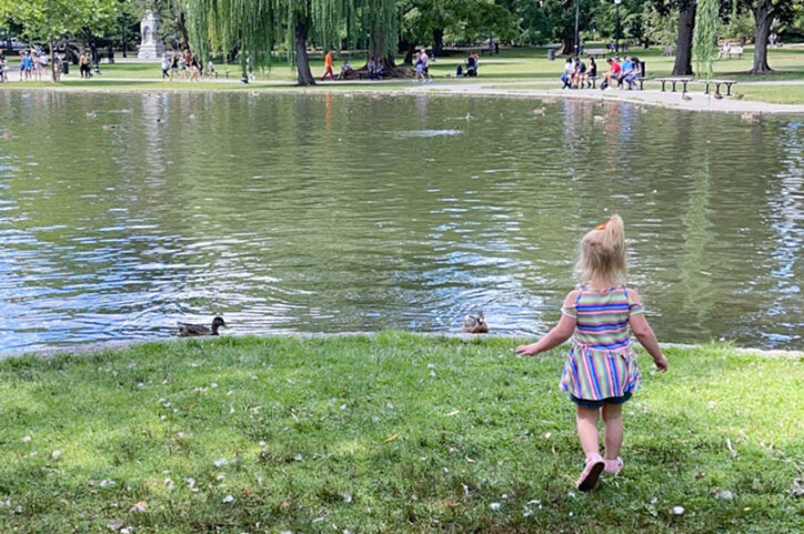 Alyvia walks toward a small pond where two ducks are swimming.