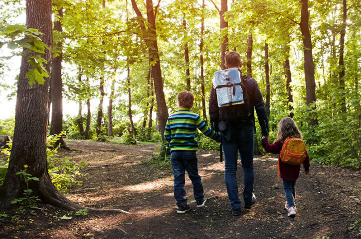 An adult and two children walk hand-in-hand, hiking up a winding, hilly trail in the woods.