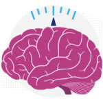 A brain with a scale, to convey concept of a link between BMI and the brain