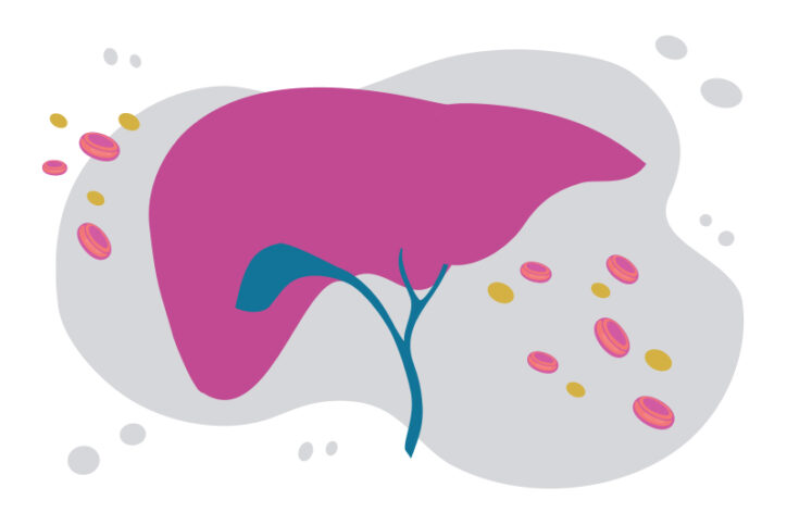 Illustration of a liver, surrounded by pink, yellow, and gray spots