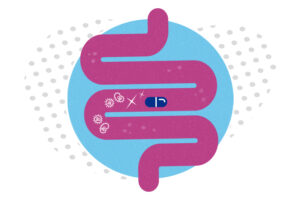 the intestines with an antibiotic pill inside