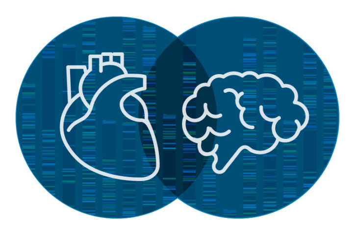 A Venn diagram shows interlocking circles of the heart, on left, and brain, with genetic code in background.
