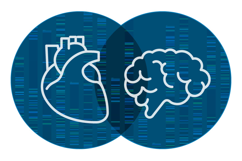 A Venn diagram shows interlocking circles of the brain with the heart on the left and the genetic code in the background.