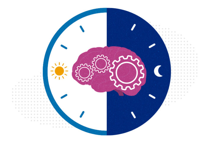 A clock with gears, divided between day and night, to illustrate circadian rhythms.