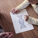 A young child connecting dots on a picture of DNA, watched by an adult.