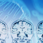 Brain scans and DNA molecules to convey the Brain Gene Registry.