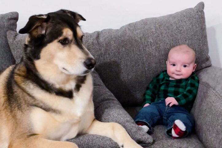 A dog sits next to a baby boy on a couch.