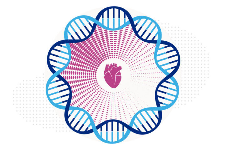 A heart encircled by a double helix to illustrate the idea of congenital heart disease genetics.