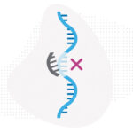 A piece of DNA being edited, with an “X” to indicate the edit is being overridden.