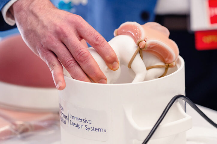 The neural tube defect model attached to a simulated fetus