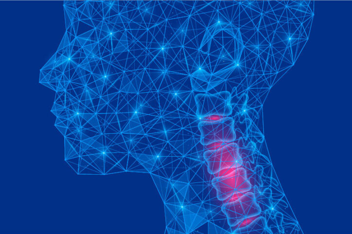 Outline of a child's neck with the cervical spine highlighted.