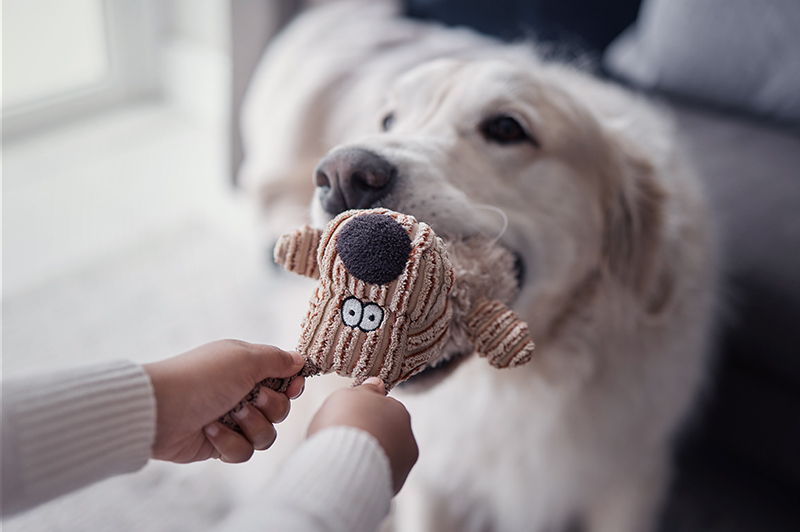 A dog biting a stuffed animal