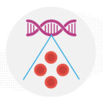 A strip of DNA spawning red blood cells, conveying the idea of gene therapy for Diamond Blackfan anemia.