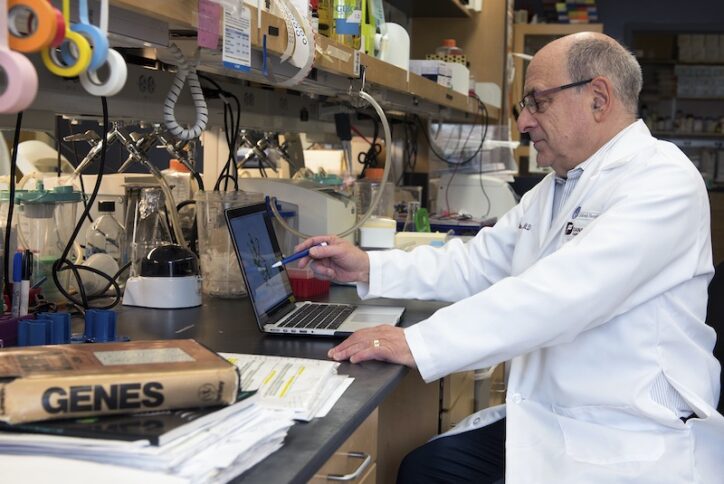 Stuart Orkin working at the lab bench.