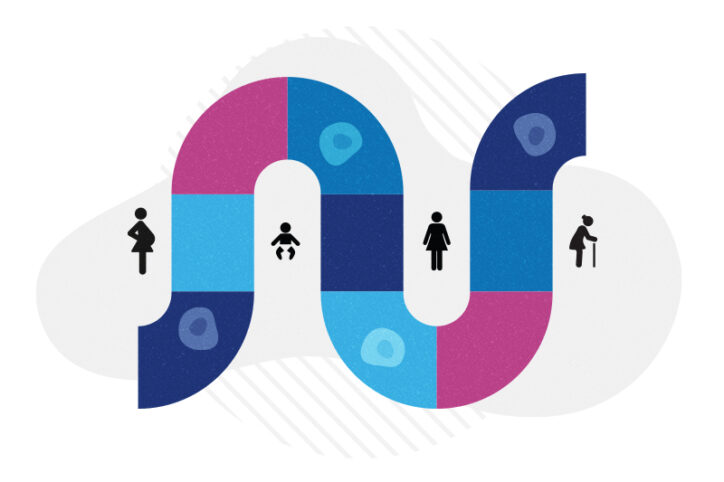 A pathway shows how blood stem cells traverse from the fetal period to childhood to adulthood to old age.