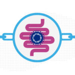 A virus superimposed on the intestine, with chain links.