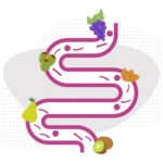A large intestine with bacteria clustered around grapes, olives, almonds, a pear, and a kiwifruit.