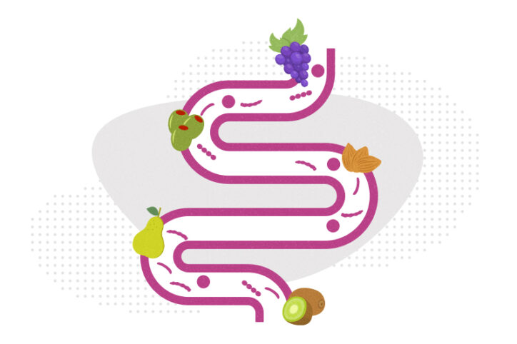 A large intestine with bacteria clustered around grapes, olives, almonds, a pear, and a kiwifruit.