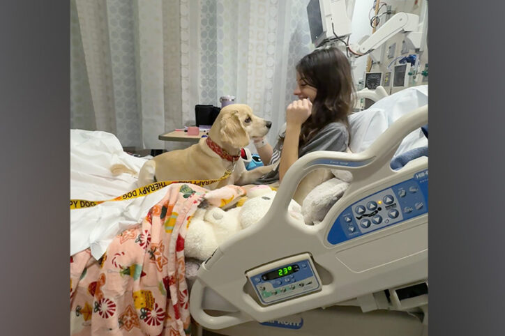 A dog sits on a hospital bed beside a young girl.