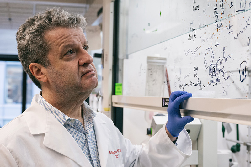 A male researcher examines mathematical models on a whiteboard.