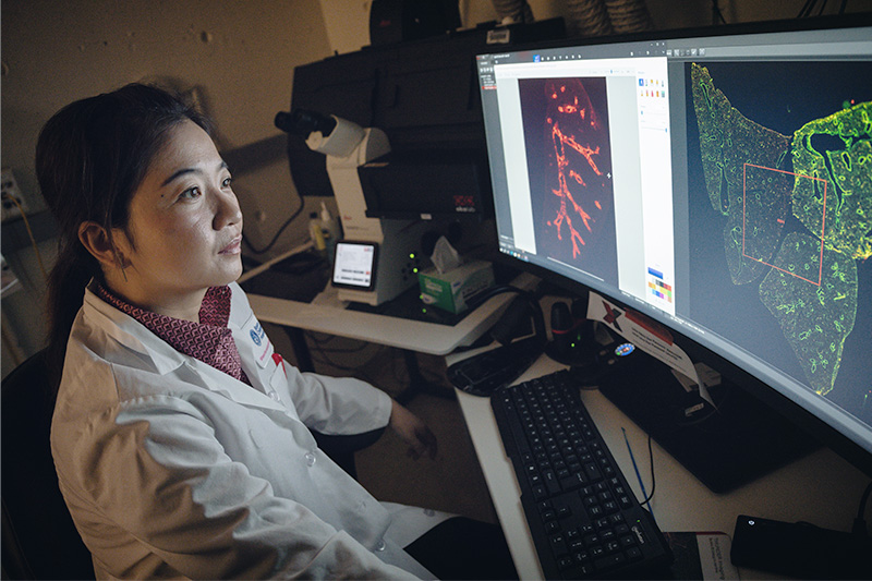 A female researcher in a lab coat examines images of tissue samples on a computer screen.