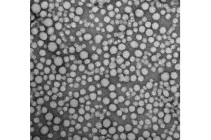 Many differently-sized bright round circles on a dark background.