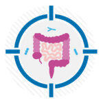 A target symbol surrounds a graphic representation intestines and various bacteria.