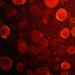 Circular red shapes resembling blood cells on a dark background that has a faint grid pattern with scattered small dots.