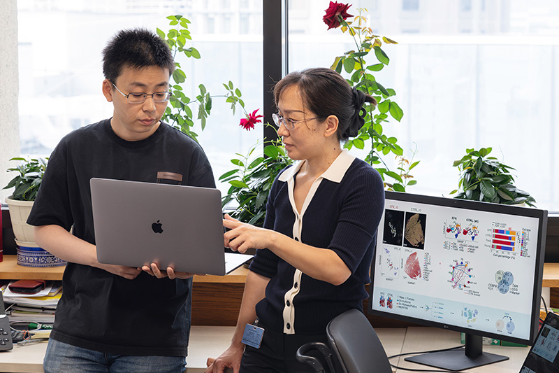 Two researchers discuss the findings of their latest study.